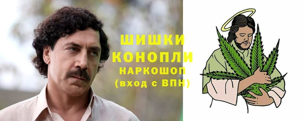 PSILOCYBIN Армянск