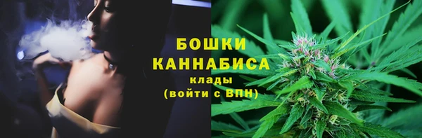 PSILOCYBIN Армянск