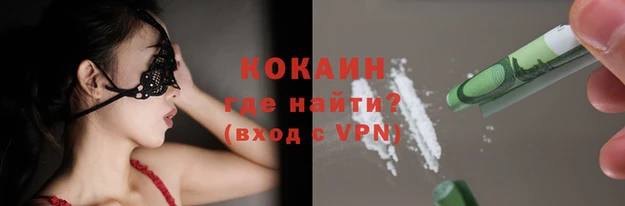 PSILOCYBIN Армянск