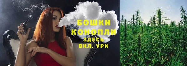 PSILOCYBIN Армянск